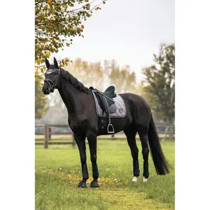 Tapis de selle pour cheval Back on Track Haze Collection image-1