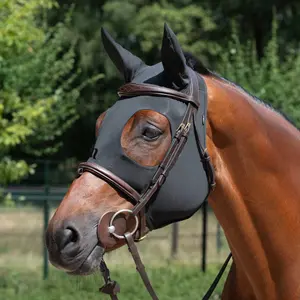 Soothing horse mask Back on Track image-1