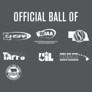 Baseball Baden Sports Perfection Pro image-1