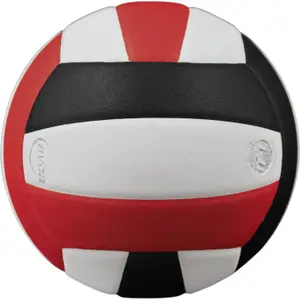 Volleyball Baden Sports All-American image-1