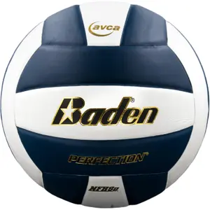 Leather Volleyball Baden Sports Perfection image-0