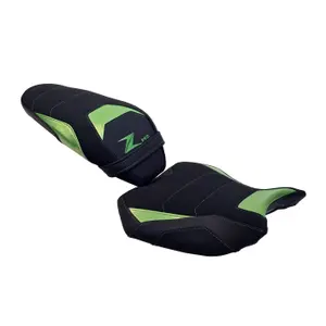 Motorzadelhoes Bagster Premium Kawasaki Z H2 image-0