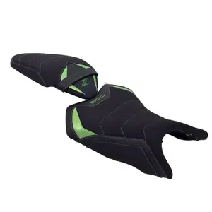 Motorzadelhoes Bagster Kawasaki Z 500 image-0