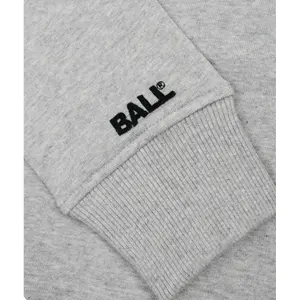 product/b/a/ball_2701-grey_3.jpg