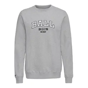 2702-lightgray-sweatshirt-ball-l-taylor-light-gray