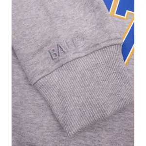 Sudadera Ball R. Wills image-4