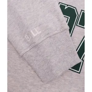 Sudadera Ball R. Wills image-2