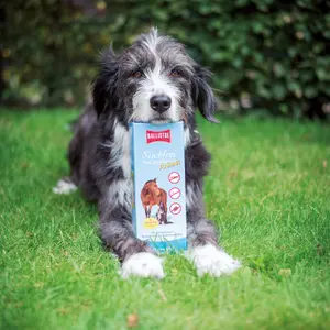 Anti-insectenspray voor paarden Ballistol Stichfrei image-1