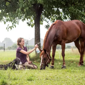 Anti-insectenspray voor paarden Ballistol Stichfrei image-2