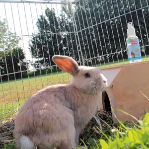 Anti-insectenspray voor paarden Ballistol Stichfrei image-3
