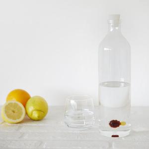 Bottiglia in borosilicato Balvi Atlantis Globefish image-1