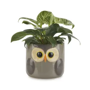 Pot de fleur céramique Balvi Owl image-0