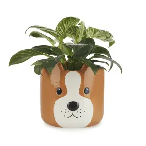 Doniczka ceramiczna Balvi Woof image-0
