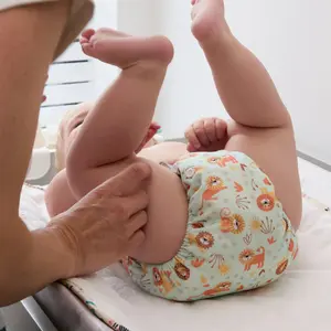 Couche lavable révolutionnaire Chats coquins Bambino Mio image-1