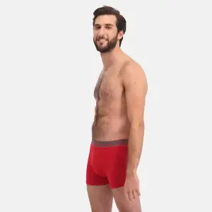 Boxer shorts Bamboo Basics Rico (x7) image-2