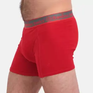Boxer shorts Bamboo Basics Rico (x7) image-4