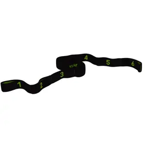 Fitness Elastic Band Force 15