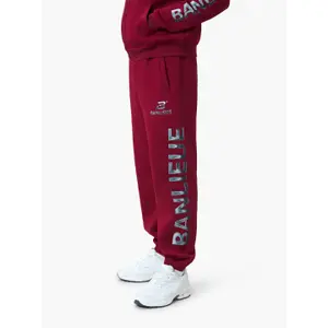 Hoodie Banlieue Chrome V2 image-2