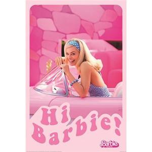 611830-poster-maxi-barbie-hi-rose
