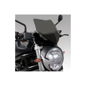 Αλεξήνιος μοτοσικλέτας Barracuda Aerosport MONSTER 696 image-0