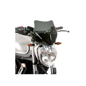 Αλεξήνιος μοτοσικλέτας Barracuda Aerosport Yamaha FZ6 S2 - image-0