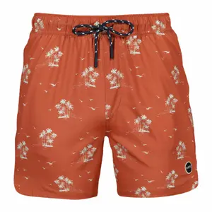 Badeshorts Barts Falls image-0