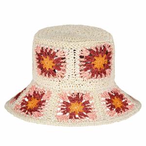 Vrouwenhoed Barts Candyflower