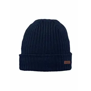 Barts Wilbert Turnup Hat image-0