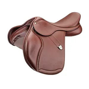 Ponyzadel Bates Elevation+