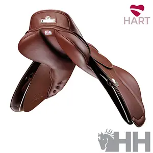 Ponysattel Bates Elevation+ image-2