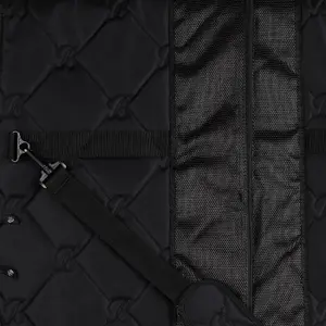 Saddle Bag Bates image-1