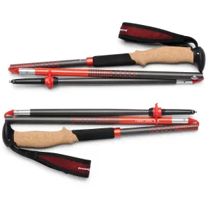 Bâton de randonnée Black Diamond Carbon Z image-1