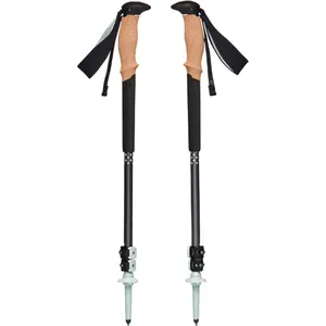 Hiking stick Black Diamond Pursuit (x2) image-1
