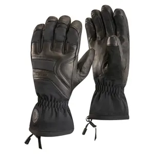 Ski gloves Black Diamond Patrol image-0