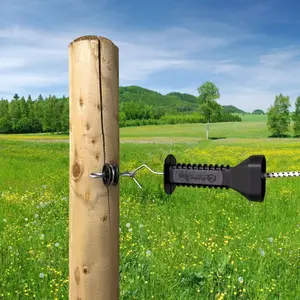 Kit de pegas com cordão elástico extensível e 2 isoladores Beaumont image-1