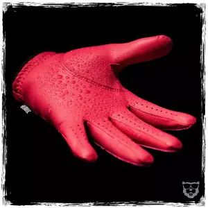 Gants de golf Droitier Beaver Golf All Season Ultra image-1