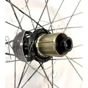 Roda traseira Bemoov R24 image-2