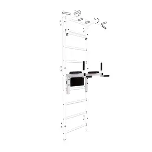 Dip-Stange BenchK DB1W