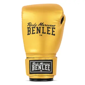 Γάντια πυγμαχίας για παιδιά Benlee Rodney image-2
