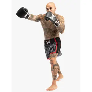 Thai boxing shorts Benlee image-1