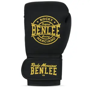 Kit de boxe Benlee Starter image-0