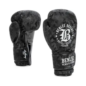 Children's boxing training gloves Benlee Anthony image-0