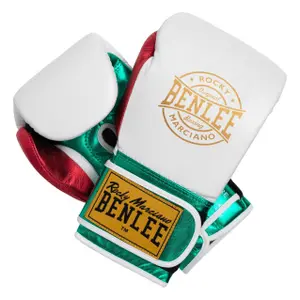 Gants de boxe entraînement enfant Benlee Metalshire image-0
