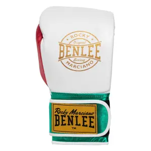 Gants de boxe entraînement enfant Benlee Metalshire image-1