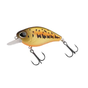 Leurre flottant Berkley Dex Thumper image-0