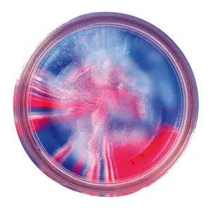 Künstliche Köder Berkley EU GLTR TRTBT image-0