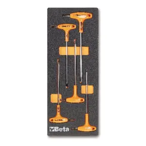 Torx Key Beta M55 Thermoformed