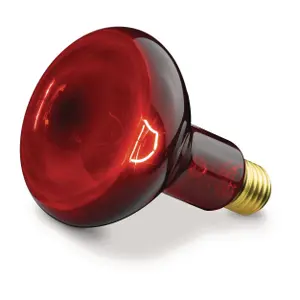 Replacement Diffuser Lamp Beurer SIL 06/IL 11