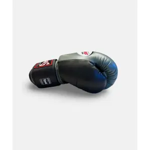 Gants de boxe Twins Special BGVL 3 Air image-2