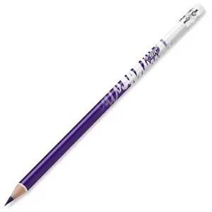case of 12 erasable colored pencils BIC image-1